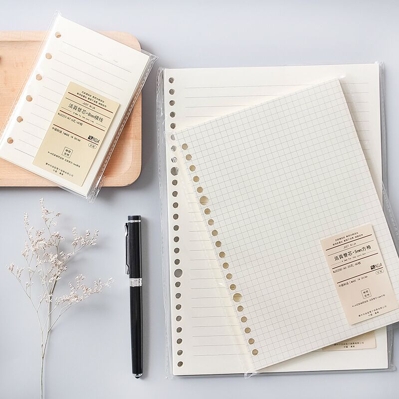 A5 B5 Siatka liniowa 20 otworó – Notebook Dotted A5 recenzja i cena